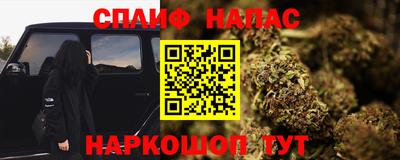 МДПВ Аша
