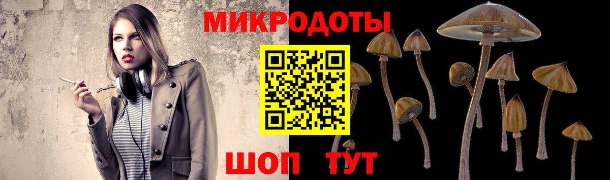 Псилоцибиновые грибы Psilocybe Белово